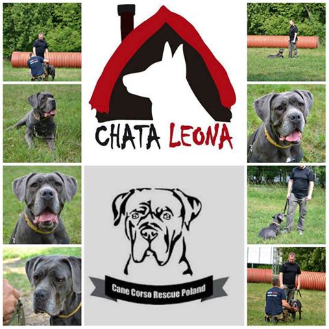 Dziękujemy Rodzinie Xeniulci za opiekę nad dziewczynką i wkładanie tyle pracy i czasu by była dobrze wychowaną damą <3